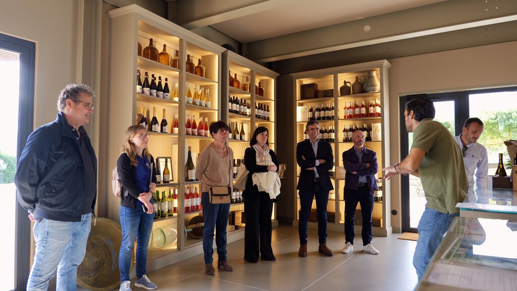 Evento VerdeSentido - 58 de 194