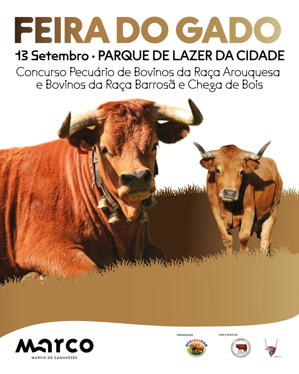 Feira do Gado - Marco de Canaveses