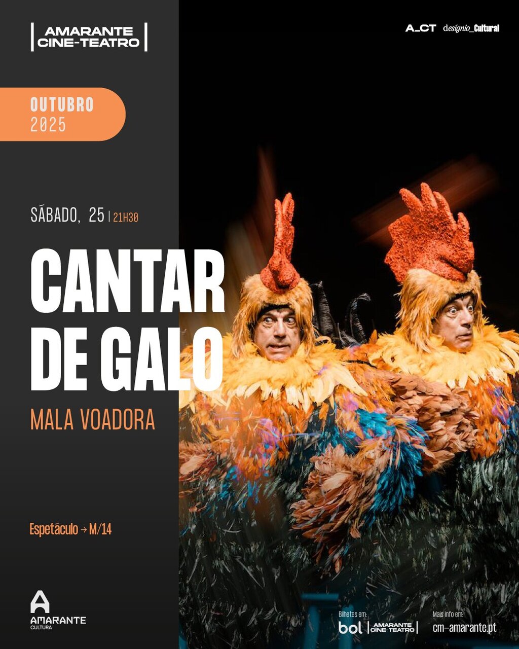 " Cantar de Galo" - Amarante