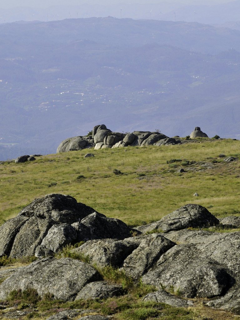 AMDT apela para a consulta do regulamento da PPRSA